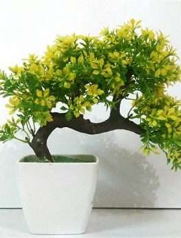 DecoratingLives Bonsai Wild Plant Artificial Plant with Pot