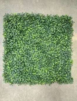 Boxwood Mat (Rose Patti) Artificial Grass Mat