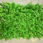 Cross Hedges Artificial Grass Mat