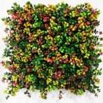 Vertical Garden Indoor & Outdoor