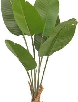 Artificial Indoor Banana Trees plant