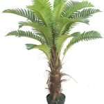 Artificial date palm trees for indoor