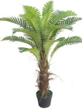 Artificial date palm trees for indoor