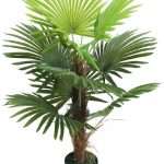 Artificial Fan Palm Trees For Indoor Use