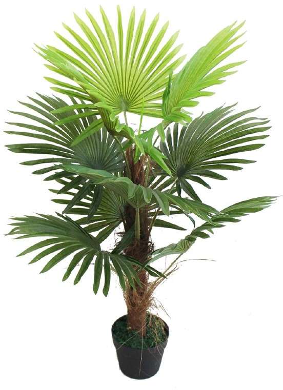 Artificial Fan Palm Trees For Indoor Use Flickkerbox