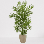 Artificial Areca Palm Tree in Planter