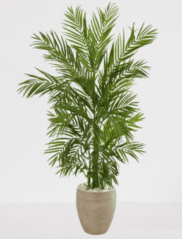 Artificial Areca Palm Tree in Planter