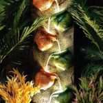 Matki Indoor/Outdoor Fountain with Led Lights for Home Decor