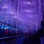 LED Fiber Optic Ceiling Light for Hotel Lobby Movie Room Theater or Bar for Interior Design