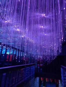 LED Fiber Optic Ceiling Light for Hotel Lobby Movie Room Theater or Bar for Interior Design